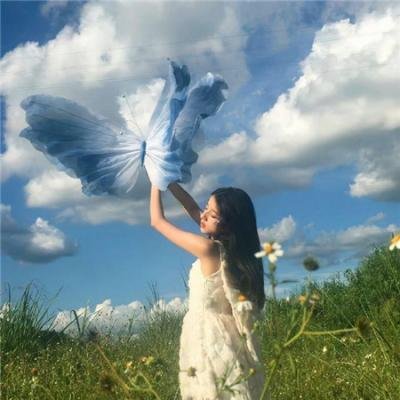 春满销金城