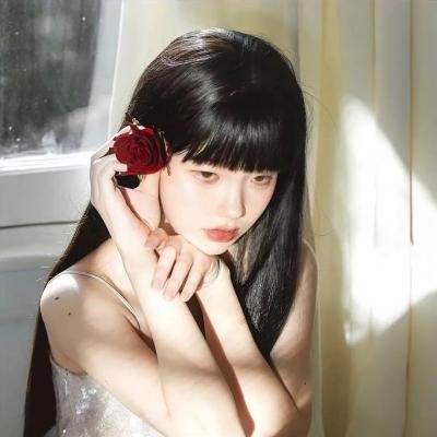 我在岛屿读书第二季